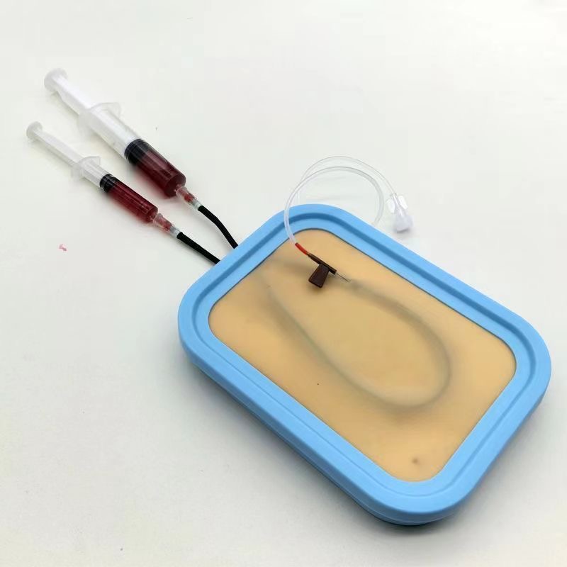 Kit Pelatihan Venipuncture Mod - Model Kit Store ulasan dan harga